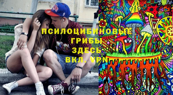 прущие крисы Алексин