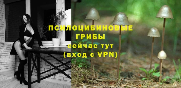 прущие крисы Алексин