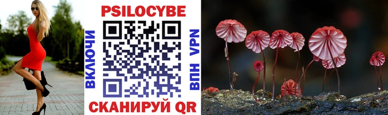 Псилоцибиновые грибы мухоморы купить наркотик Кувшиново